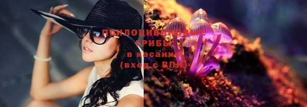 Альфа ПВП Алзамай