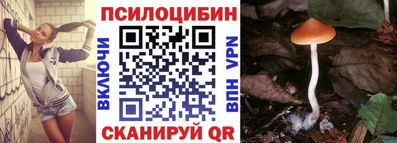 дарнет шоп  Нижняя Салда  Галлюциногенные грибы Psilocybine cubensis 